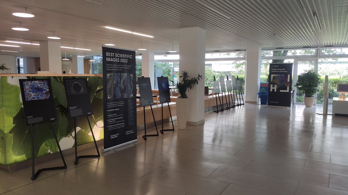 helmholtz_image's tweet photo. There’s an opening event on 23/06 for the Helmholtz #Imaging Roadshow. Join us for the virtual opening and see what the newest advances in imaging have to offer, plus how we can go beyond! More info: https://t.co/mVObjy49Cz #sciencepics https://t.co/kOTL7vDL8x