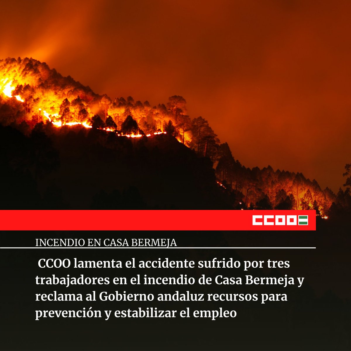 ccooandalucia's tweet photo. 🔥INCENDIO FORESTAL | 🖤3 bomberos forestales sufren un  accidente en el incendio de Casa Bermeja.
🛑No puede estar 6 meses jugándose la vida y otros 6 meses en el paro.
📣Exigimos a @AndaluciaJunta estabilidad en el empleo y mayor prevención: 
https://t.co/QcDuAzM0BF https://t.co/2RxOg7qndg