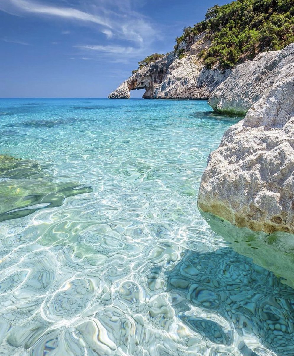 James Lucas tweet media