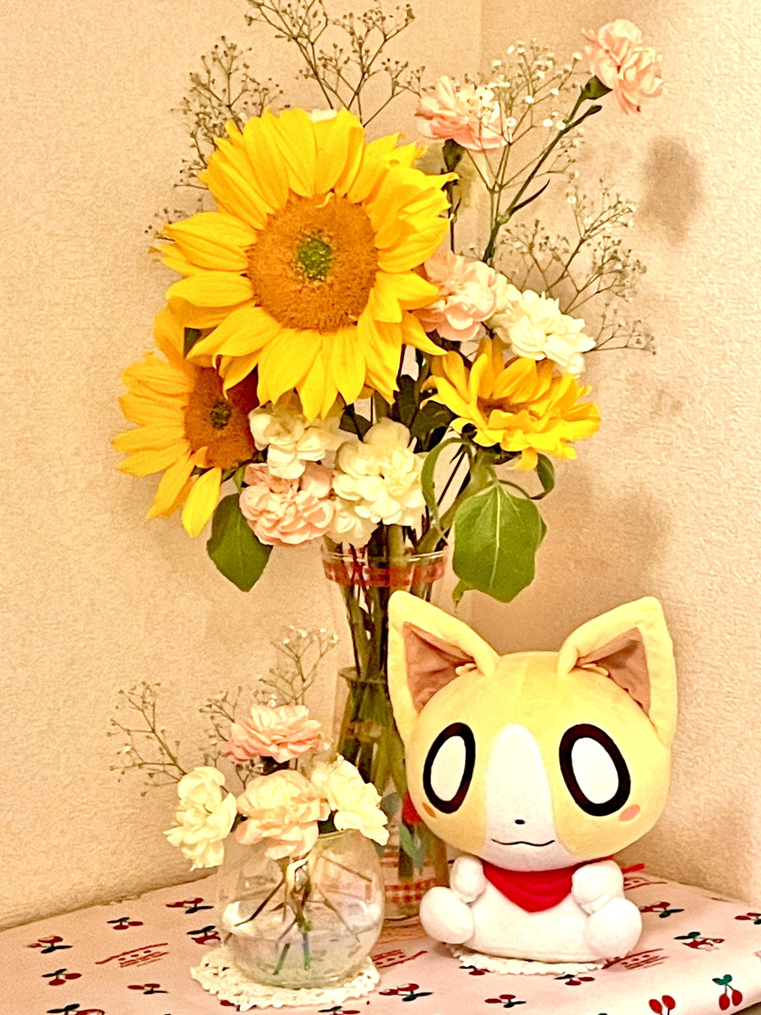 しらほしずかん（ぺんぎん）　ぬいぐるみ20個 しらほしずかん（ぺんぎん） ぬいぐるみ20個
