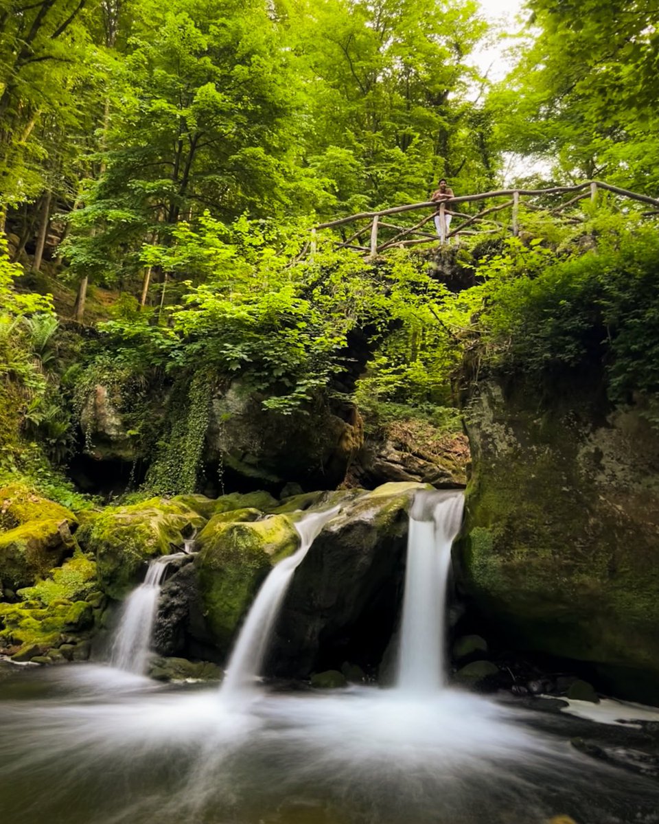 RamyaBalkur's tweet photo. Schiessentümpel Waterfall, a small but picturesque waterfall in Müllerthal.

#shotoniphone #iphone13promax @Apple https://t.co/FCAfucwyfz