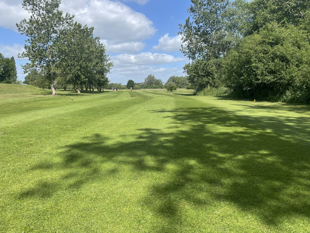 Diss Greens tweet media