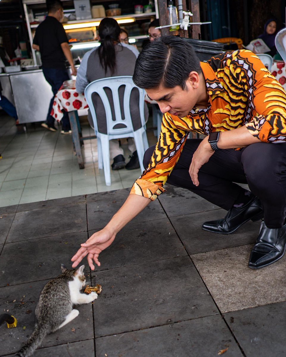 SyedSaddiq's tweet photo. Cat. I see. I pet. Cat. 🐈 https://t.co/QUrivWesdb