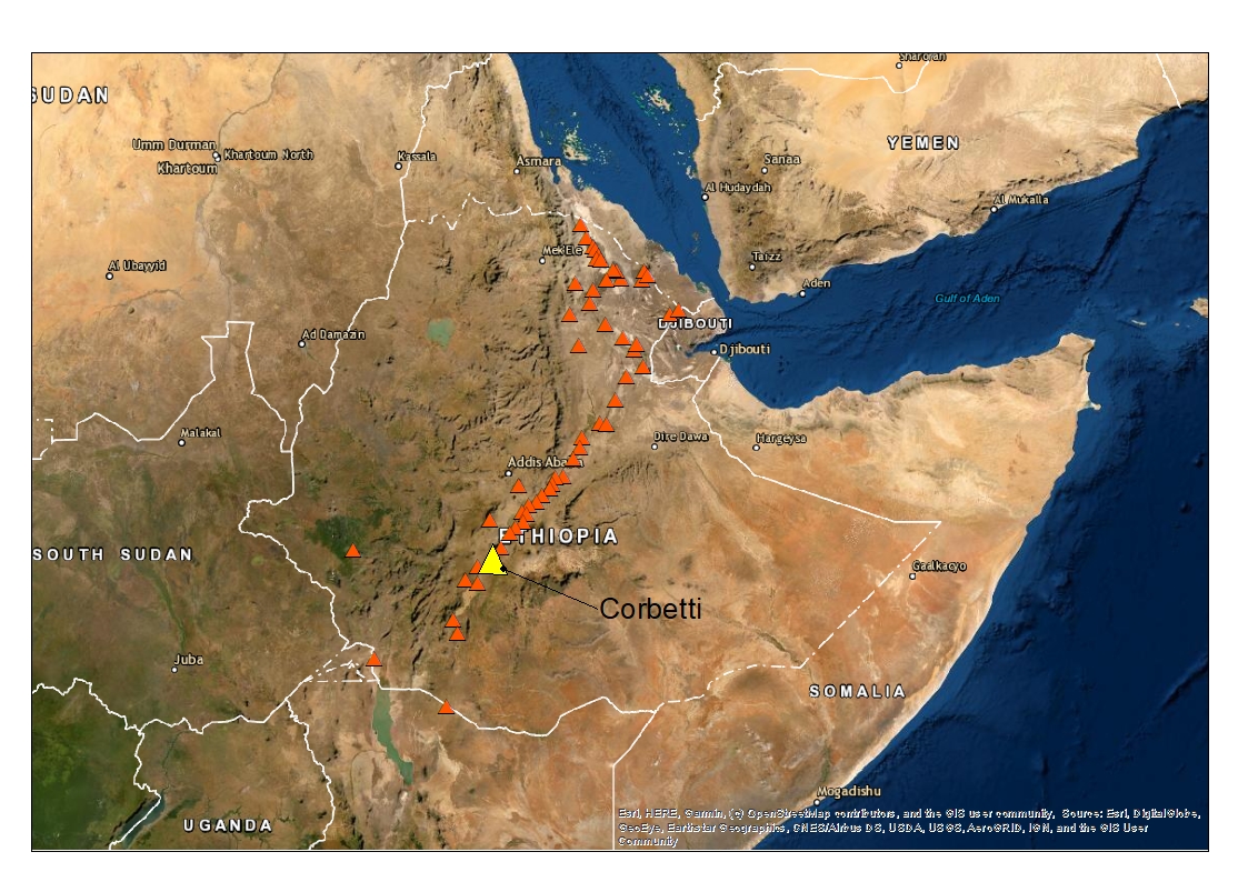 JuliaCrummy's tweet photo. Poster: Towards understanding volcanic risk in low data environments: tephra fall hazard and exposure analysis at Corbetti Volcano, Ethiopia
Research from @NERCscience #RiftVolc project in collaboration w/ researchers at Geological Institute of Ethiopia & Addis Ababa University https://t.co/P9FzBSW7yz