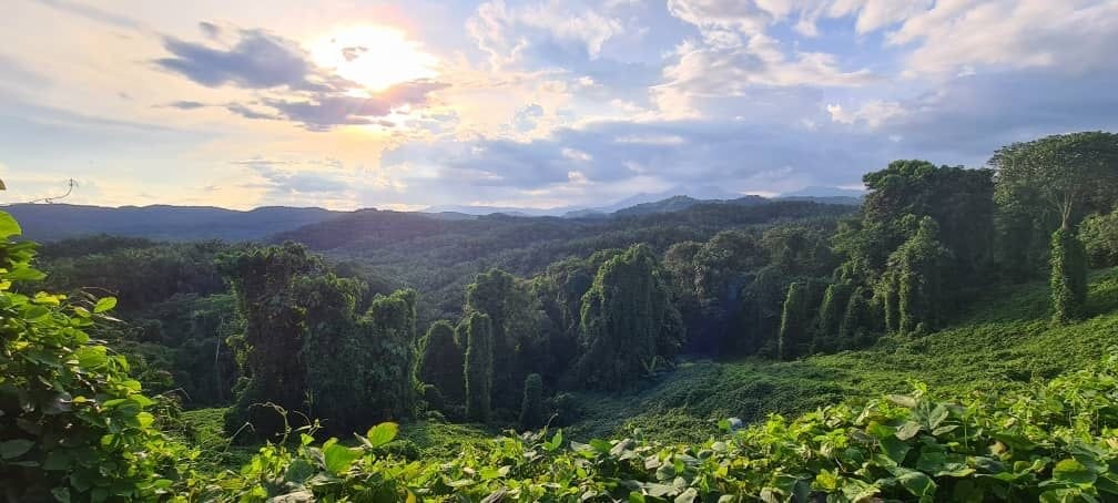 SENSOR Project tweet media