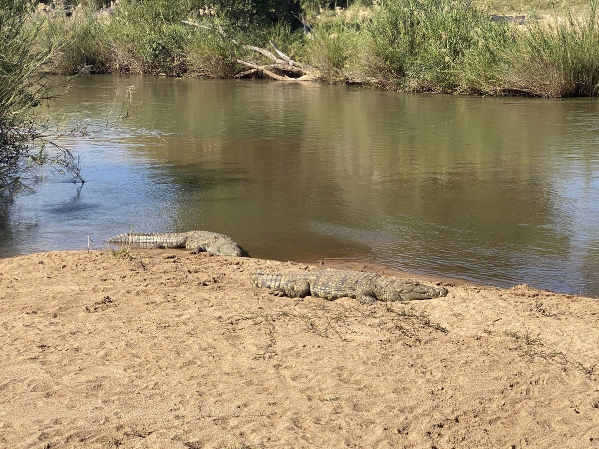 Dan Nicholl tweet media