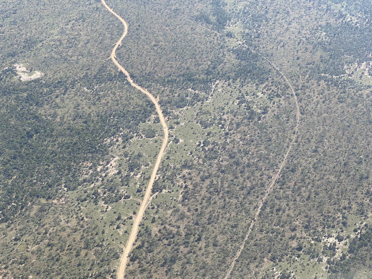 Dan Nicholl tweet media