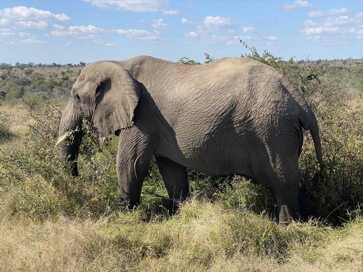 Dan Nicholl tweet media