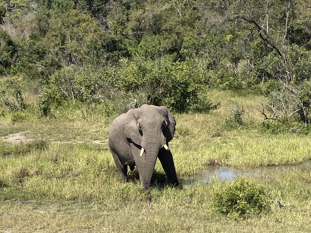 Dan Nicholl tweet media