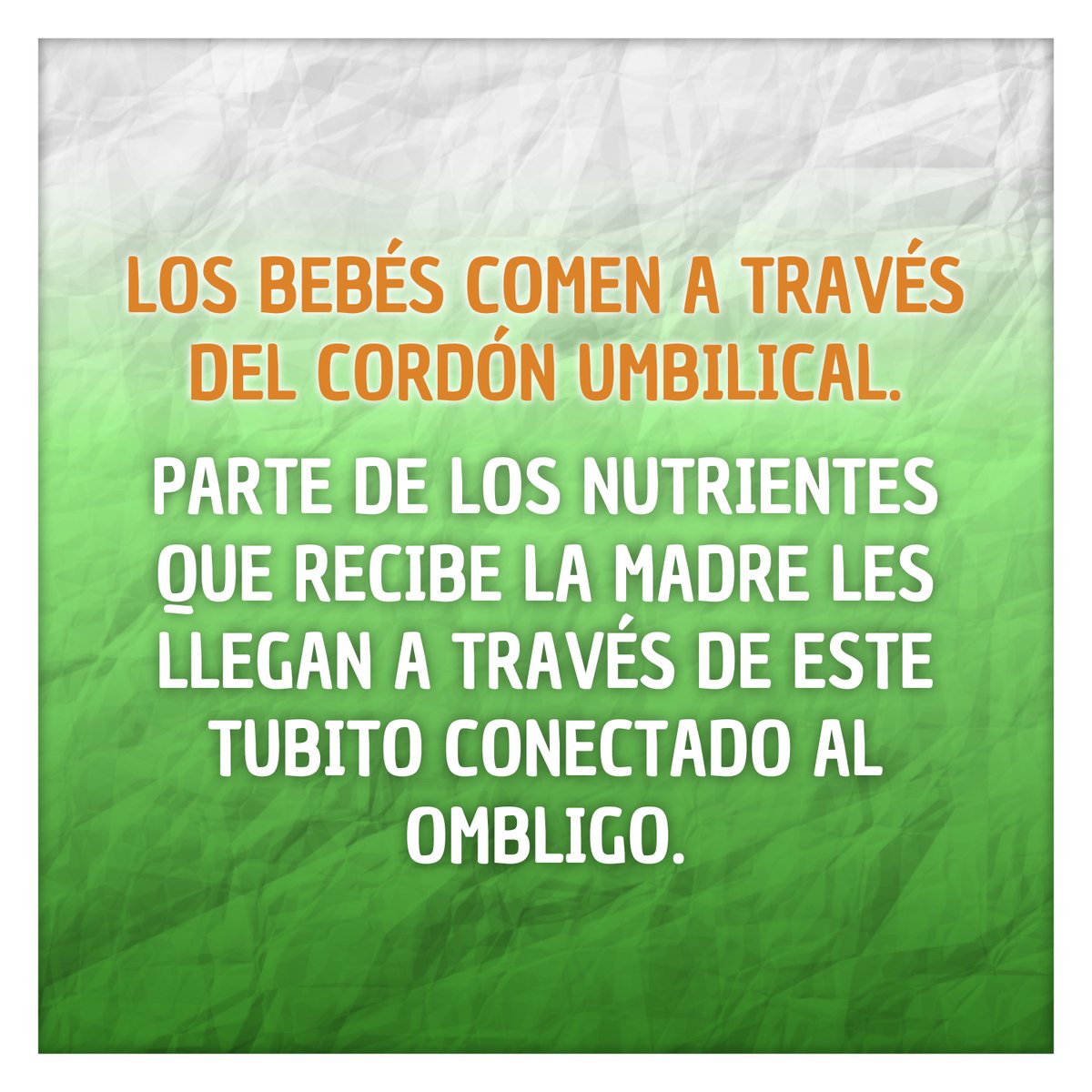 crocodoctv's tweet photo. Por eso, las mujeres embarazadas se cansan mucho... 😰 Porque dedican mucha energía a que el bebé crezca en la barriga. 👶 

#CrocoDoc #Educational #Pregnancy #Cartoon https://t.co/dLGgVv63iP