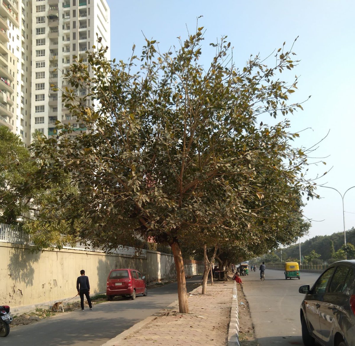 vikranttongad's tweet photo. A request- 
If you come across any ongoing or new concrete tiling activity by Noida authority/RWA, please click photos and share with me on the DM preferably with location. https://t.co/XVaSYwQ4gi