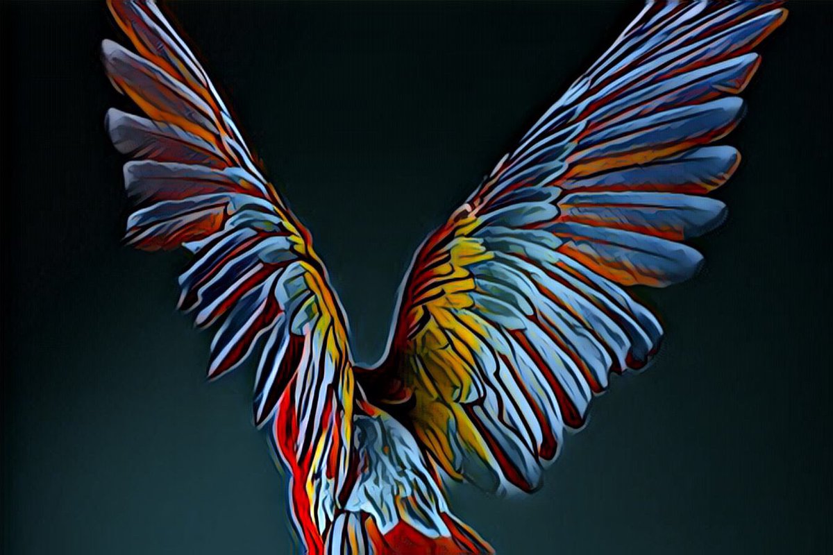 simplepilgrim01's tweet photo. “Feathers”

Tumbling, rather flying
on the Kaleidoscope wings of change
heading somewhere, sometime 
with a new view, change 
Clinging on, with the dearest of life 
hoping those feathers can hold
time 
to be just and bold 

#poetry #poetrycommunity #WritingCommunity https://t.co/QJmdb4kAk8