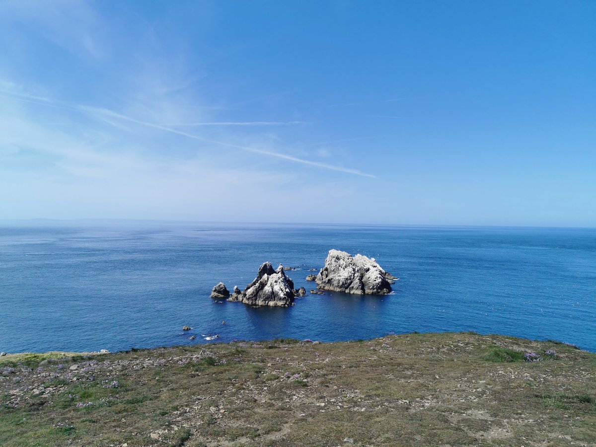 Emily Wordley tweet media