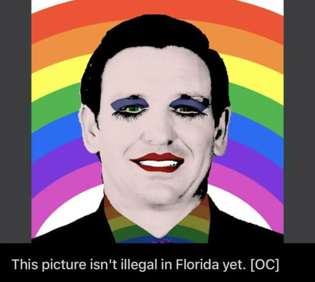 SchoenbergBrian's tweet photo. @teamrondesantis @RonDeSantisFL https://t.co/ta8z9hSKgf