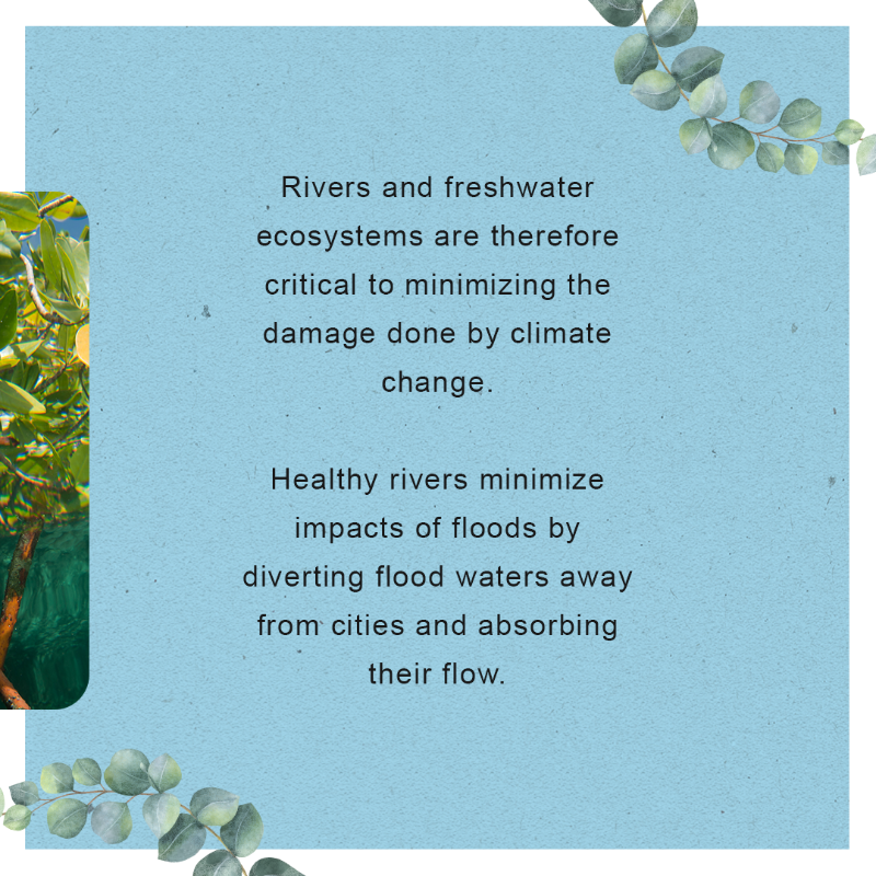 WWF's tweet photo. Our shared home🌍is increasingly at risk from devastating and extreme weather events, which are often linked to human-caused #ClimateChange ☀️☔️

Connect the dots to see how our biodiverse environments 🏞 help protect us against these events.
#Connect2Earth #WWFConnectingTheDots