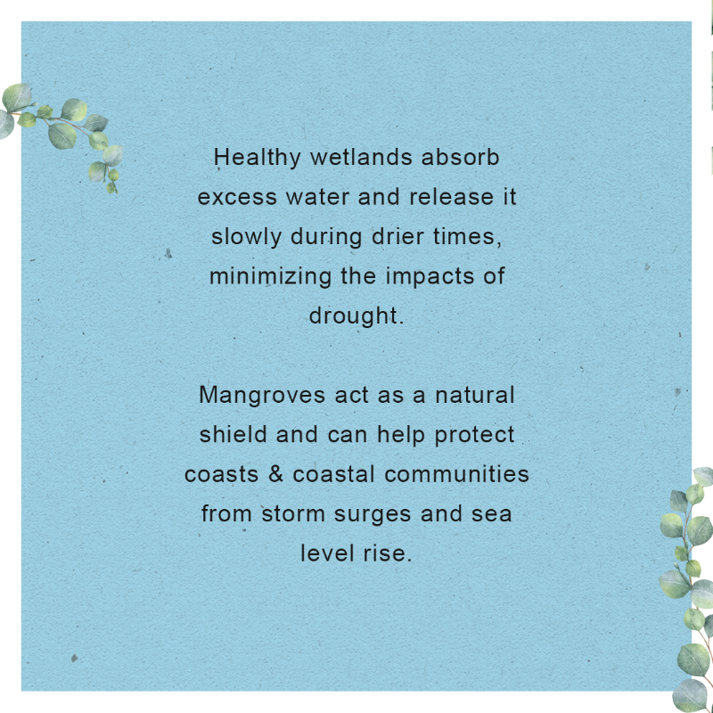 WWF's tweet photo. Our shared home🌍is increasingly at risk from devastating and extreme weather events, which are often linked to human-caused #ClimateChange ☀️☔️

Connect the dots to see how our biodiverse environments 🏞 help protect us against these events.
#Connect2Earth #WWFConnectingTheDots