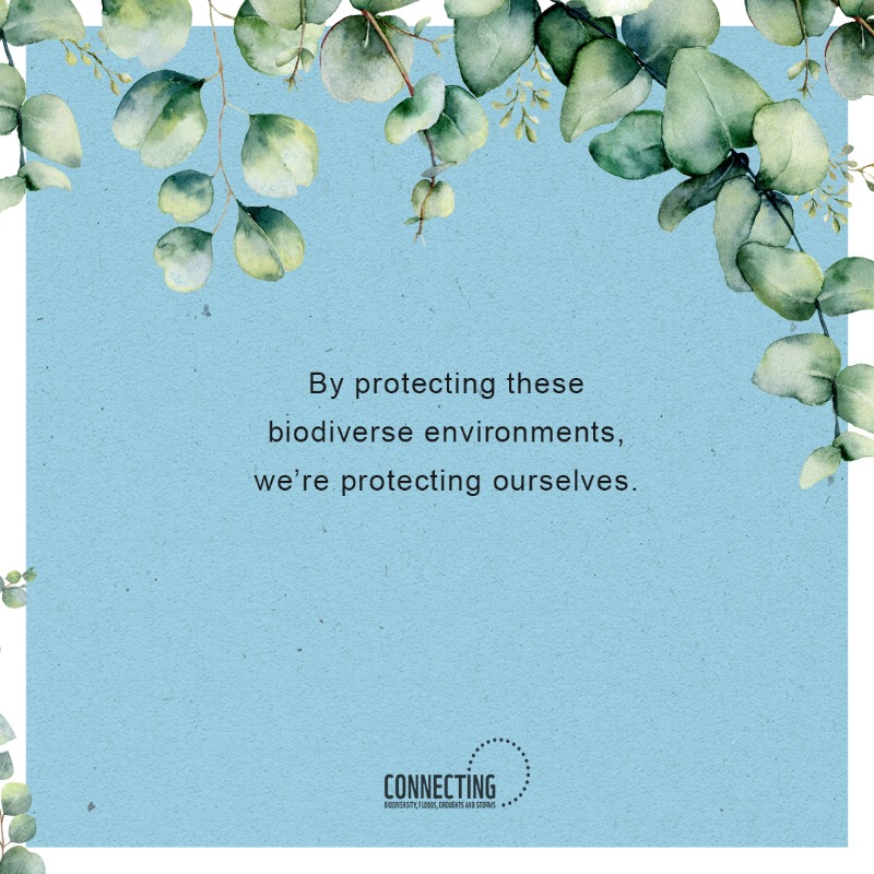 WWF's tweet photo. Our shared home🌍is increasingly at risk from devastating and extreme weather events, which are often linked to human-caused #ClimateChange ☀️☔️

Connect the dots to see how our biodiverse environments 🏞 help protect us against these events.
#Connect2Earth #WWFConnectingTheDots