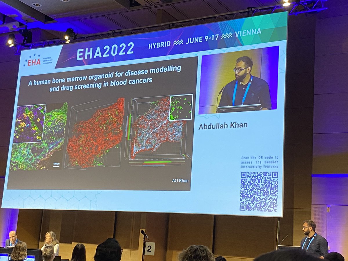 Fantastic talk @AbAttacks presenting our bone marrow organoids model @EHA_Hematology #EHA22, Stem cells & Niche session. Great questions from the audience, many of which we are working on for revisions…preliminary paper available on bioRxiv @MRC_WIMM @theclotthickens