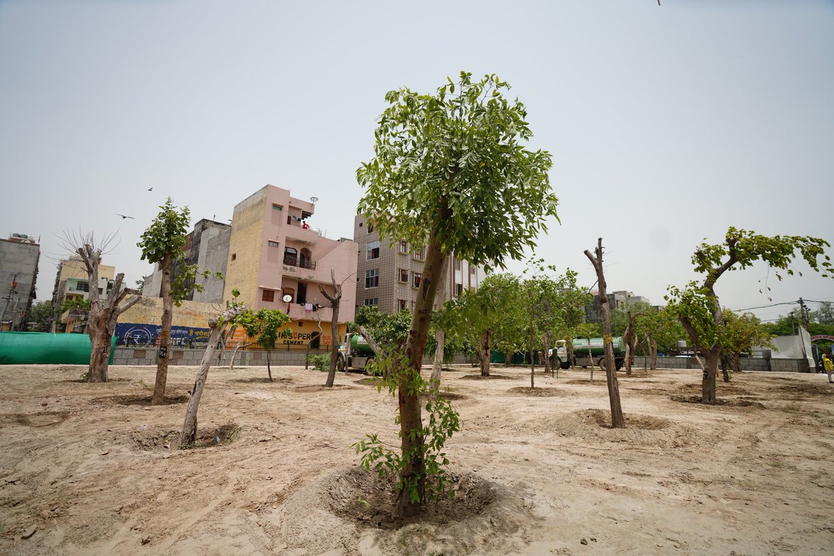 दिल्ली देश का पहला राज्य है जहां Tree-Transplantation Policy है। दिल्ली को हरा-भरा रखने के लिए हम हर साल नए पेड़ भी लगा रहे हैं और बड़े पेड़ों को ट्रांसप्लांट भी कर रहे हैं।

आज मयूर विहार जाकर ट्रांसप्लांट किए गए पेड़ों को देखा, यहाँ 220 में से 190 पेड़ फिर से हरे भरे हो गए हैं।