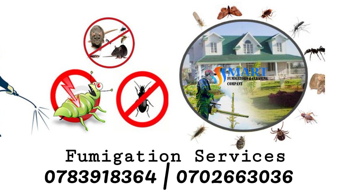 TelosEntUG's tweet photo. For a pest free home , Give us a call on 0783918364 | 0702663036 for the most effective Fumigation Services. #PestControlServices #BatEradication #SnakeEradication #RodentEradication #Fumigation #Disinfection #HomeCleaning #OfficeCleaning #SofaSetCleaning #CarpetCleaning https://t.co/HnQMWt2ajH