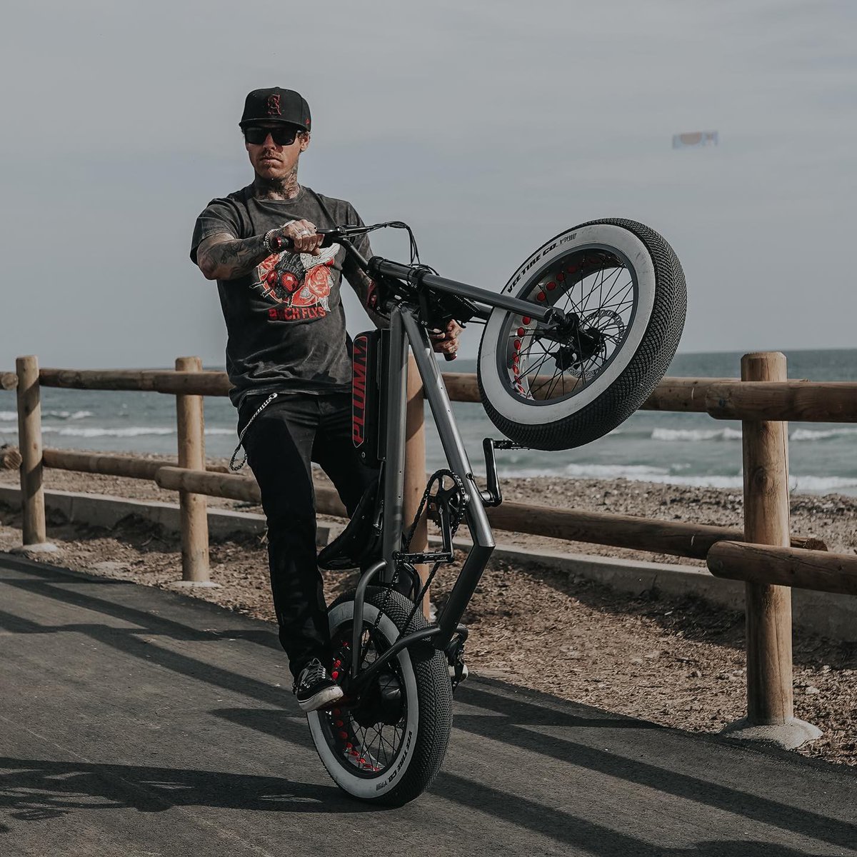 Colin Morrison tweet media