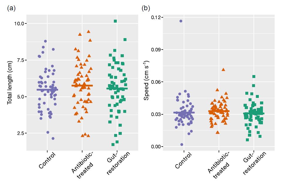 Mol_Ecol's tweet photo. New paper out in @microbiologyOA ! 🎉🍾🥂

Analyses of #locomotion, #WingMorphology, and #microbiome in #Drosophila nigrosparsa after recovery from #antibiotics 

https://t.co/k7CbZtrDus

#Wolbachia
@uniinnsbruck
@dmatted https://t.co/R2PcJ6jkbC
