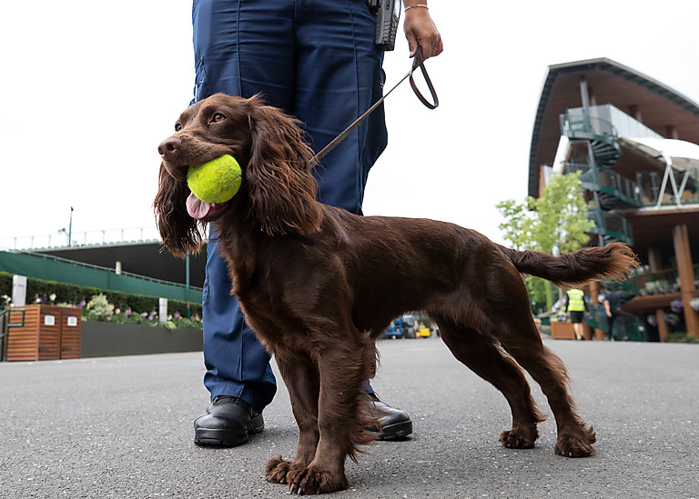 Wimbledon Foundation tweet media
