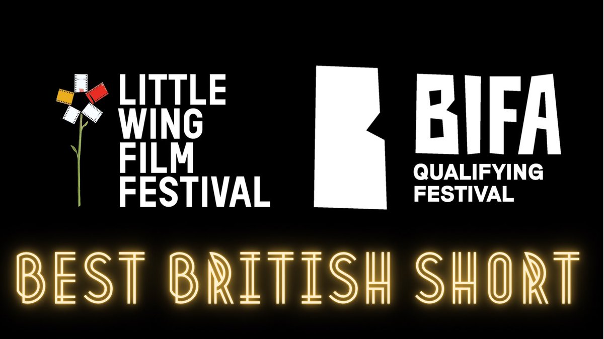 Little Wing Film Fest tweet media