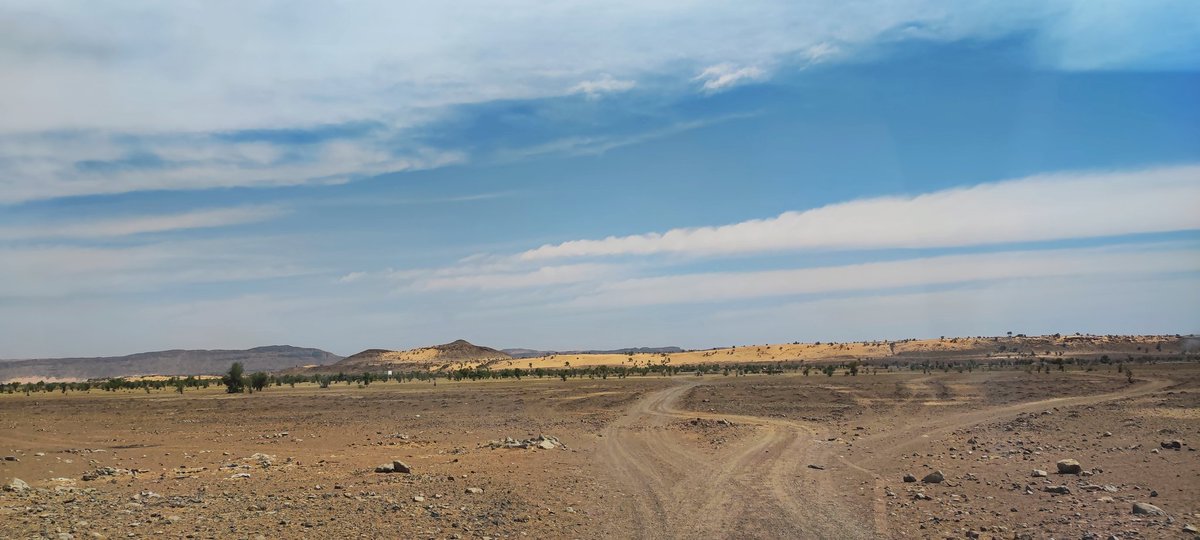 Elmokhtarsidi's tweet photo. Des images de la wilaya de #Tagant en #Mauritanie que j'ai prise cette année
©Sidi https://t.co/oBYqrWMwmq
