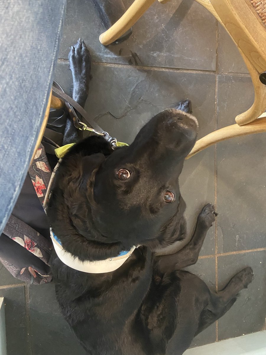 I passed my MSc 🙌🏻 big shout out to my amazing family and friends who bring their support and positive energy and make me believe I can do anything! Greatest thanks to my beautiful Amber who has given me the confidence to live a life I never thought possible ❤️