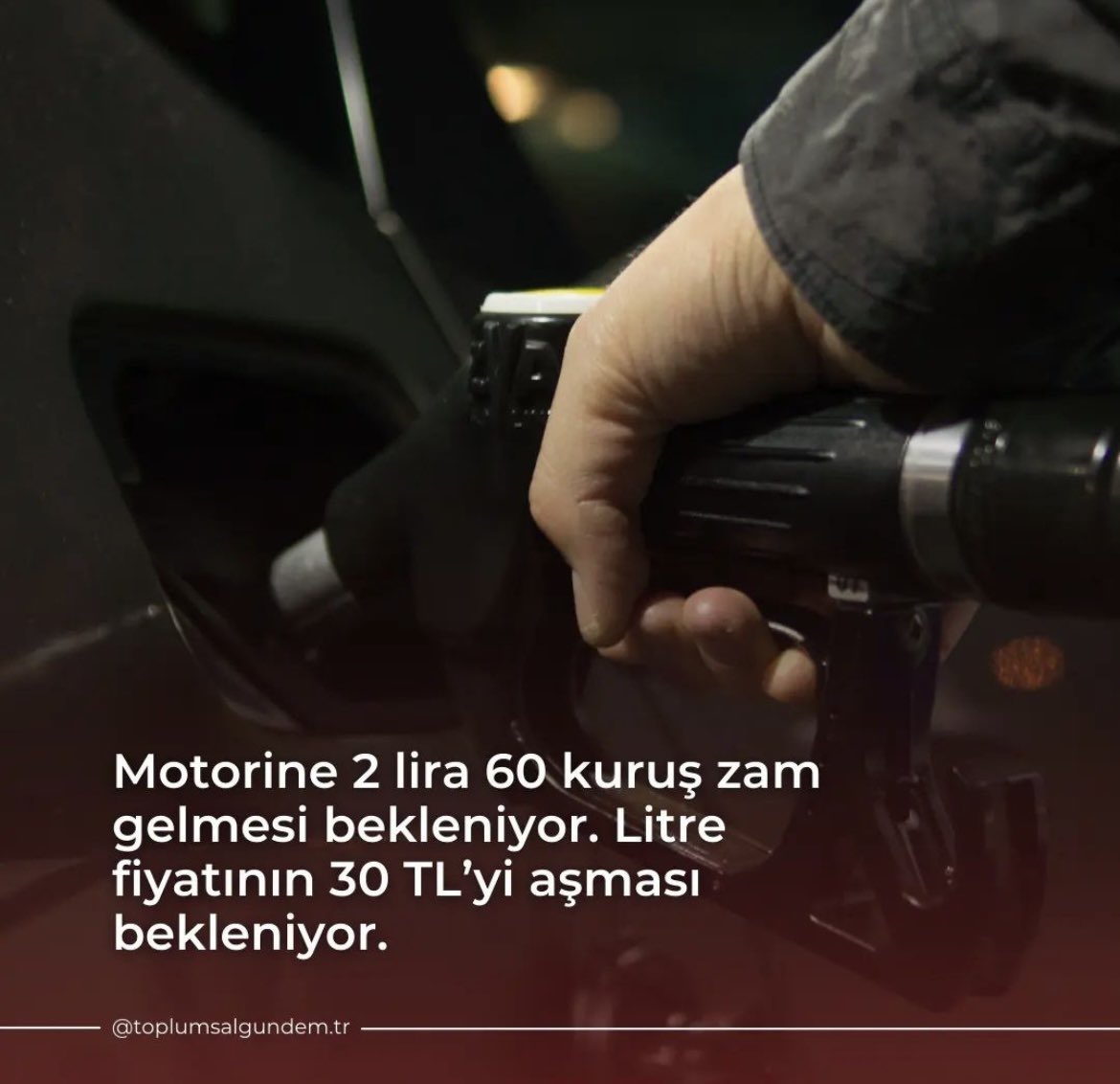 TimurCan tweet media