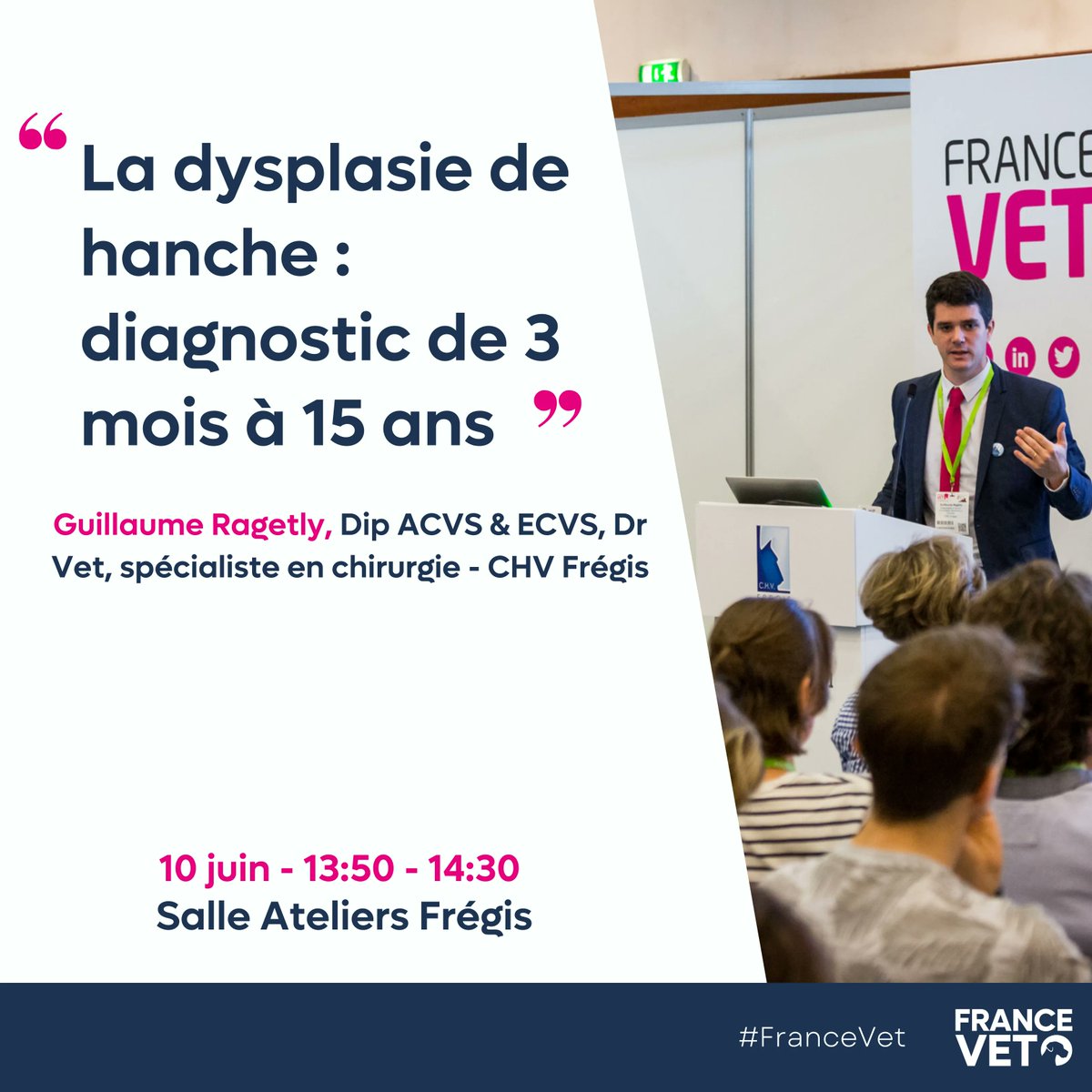 France Vet - Congrès des Vétérinaires tweet media