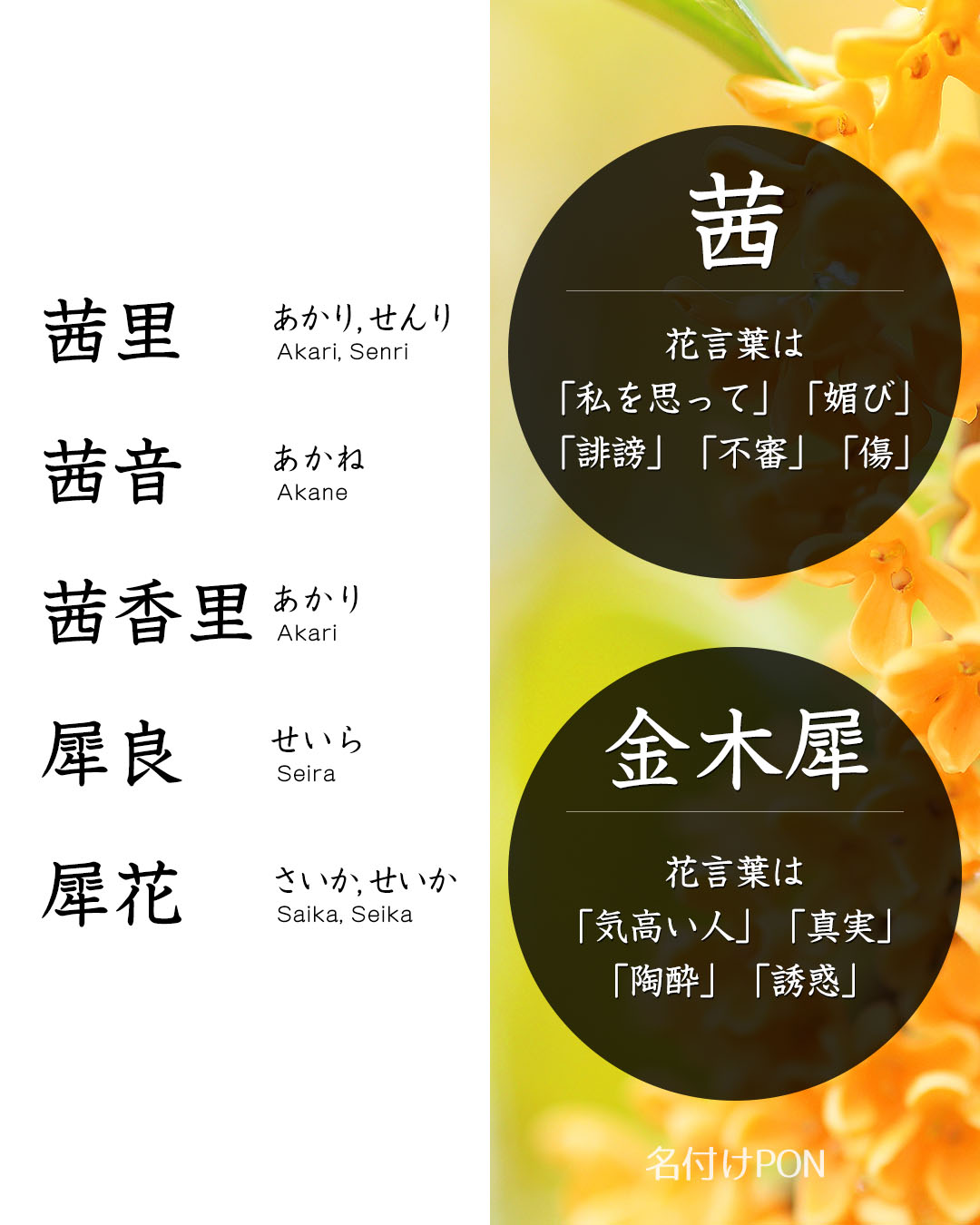 名付けポン 赤ちゃんの名前集 Nazukepon Twitter