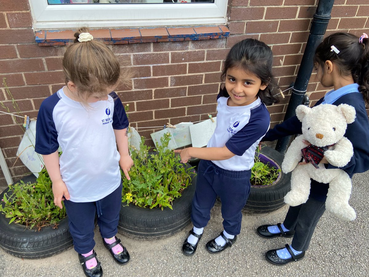 Stbede_reception tweet media