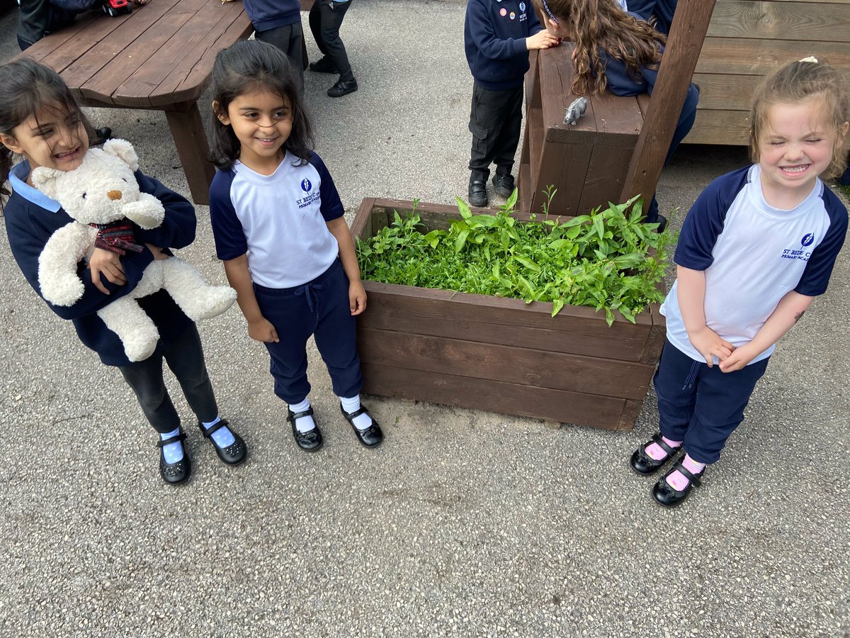 Stbede_reception tweet media