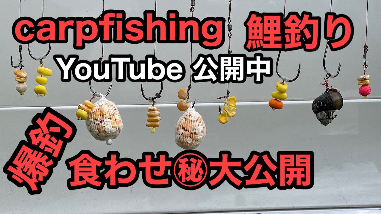 河口湖鯉釣り Twitter Search Twitter