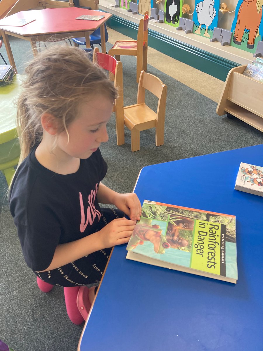 Carm296's tweet photo. Rainforest homework in #Keighleylibrary for @stjosephskly #Rowanclass https://t.co/z8oBGJ3n2G