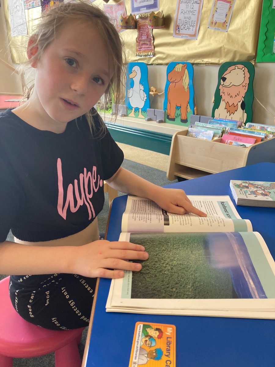 Carm296's tweet photo. Rainforest homework in #Keighleylibrary for @stjosephskly #Rowanclass https://t.co/z8oBGJ3n2G