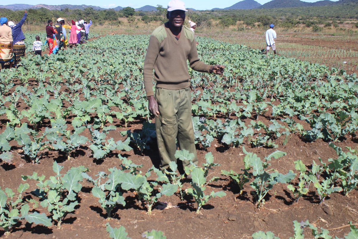 CGCDZ_OFFICIAL tweet media