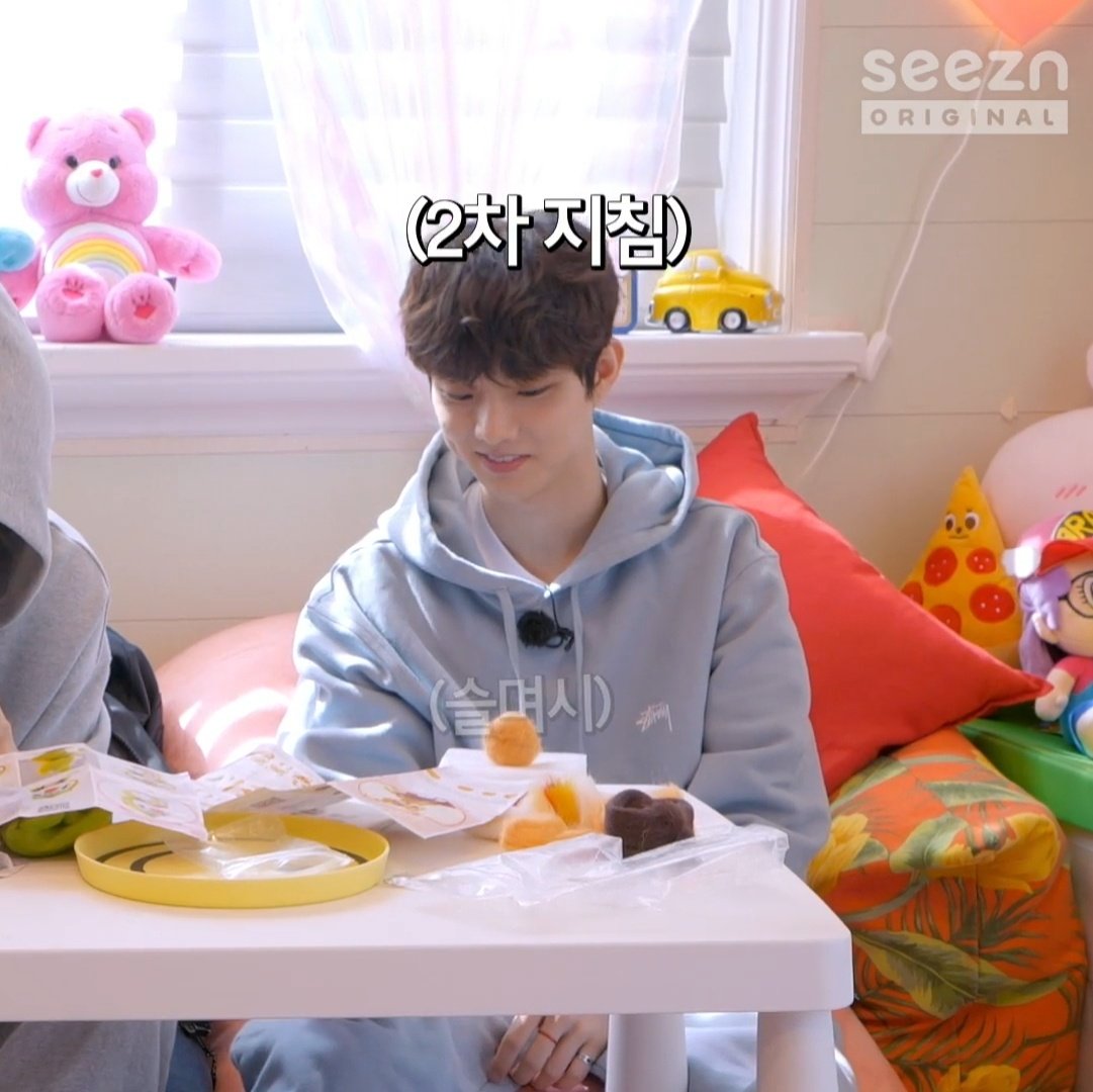 어떤 고양이 털 열심히 모아서 털공만드심