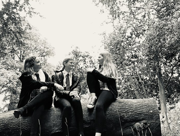 AIwithAileen's tweet photo. S2 had the challenge to see #CallendarPark through the eyes of the Conservationist John Muir. These three gave the challenge an artistic twist and recreated the photo they had seen in class. Top marks ladies! https://t.co/JPB2bRlIXy