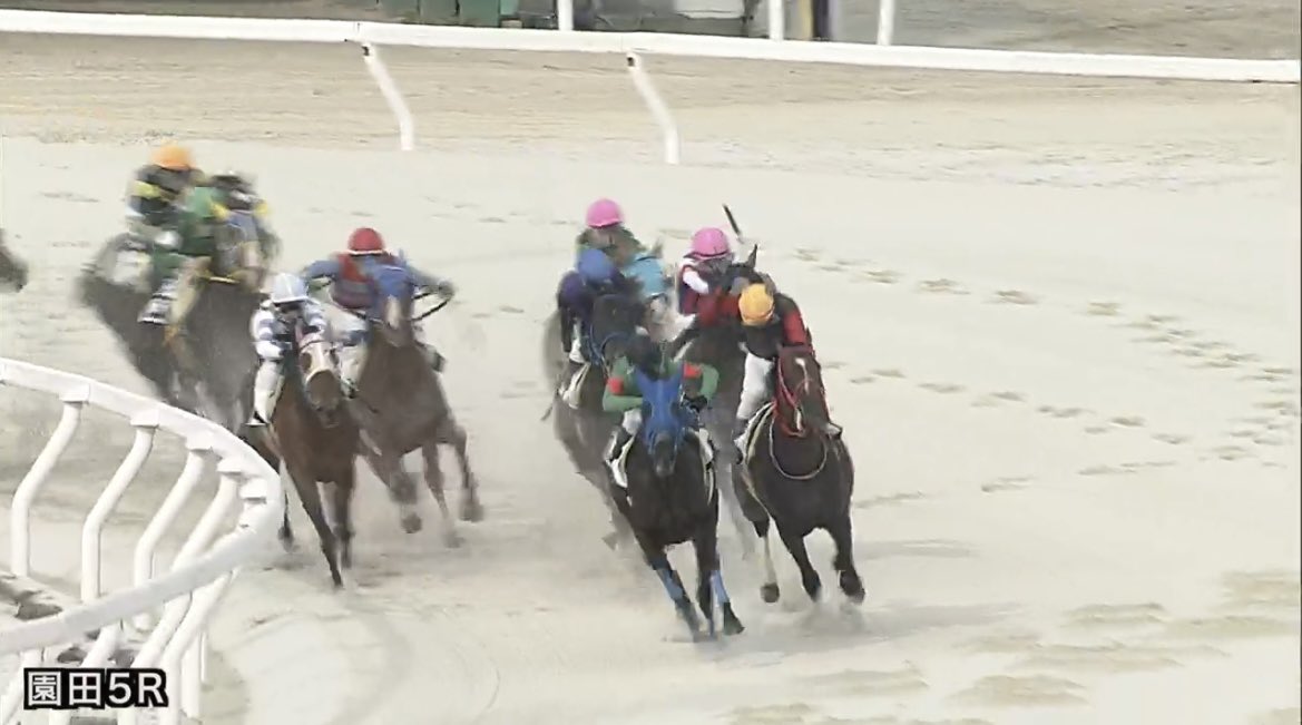 ウインバリアシオン産駒👏👏👏
ヴァリアントジョイ連勝おめでとうございます‼️
いや、嬉しいですね〜😆