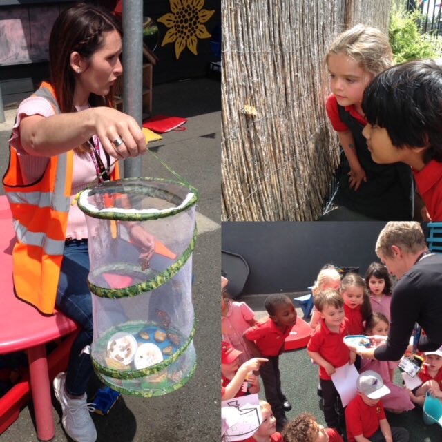 EarlsfieldSch's tweet photo. The life cycle of Reception’s hungry caterpillars is complete 🌟 🐛 Swipe for 🦋 #eyrs #understandingtheworld #RightsRespectingSchools #Article13 #Article17 #wow 🤩 https://t.co/Q8BPjvNGGM