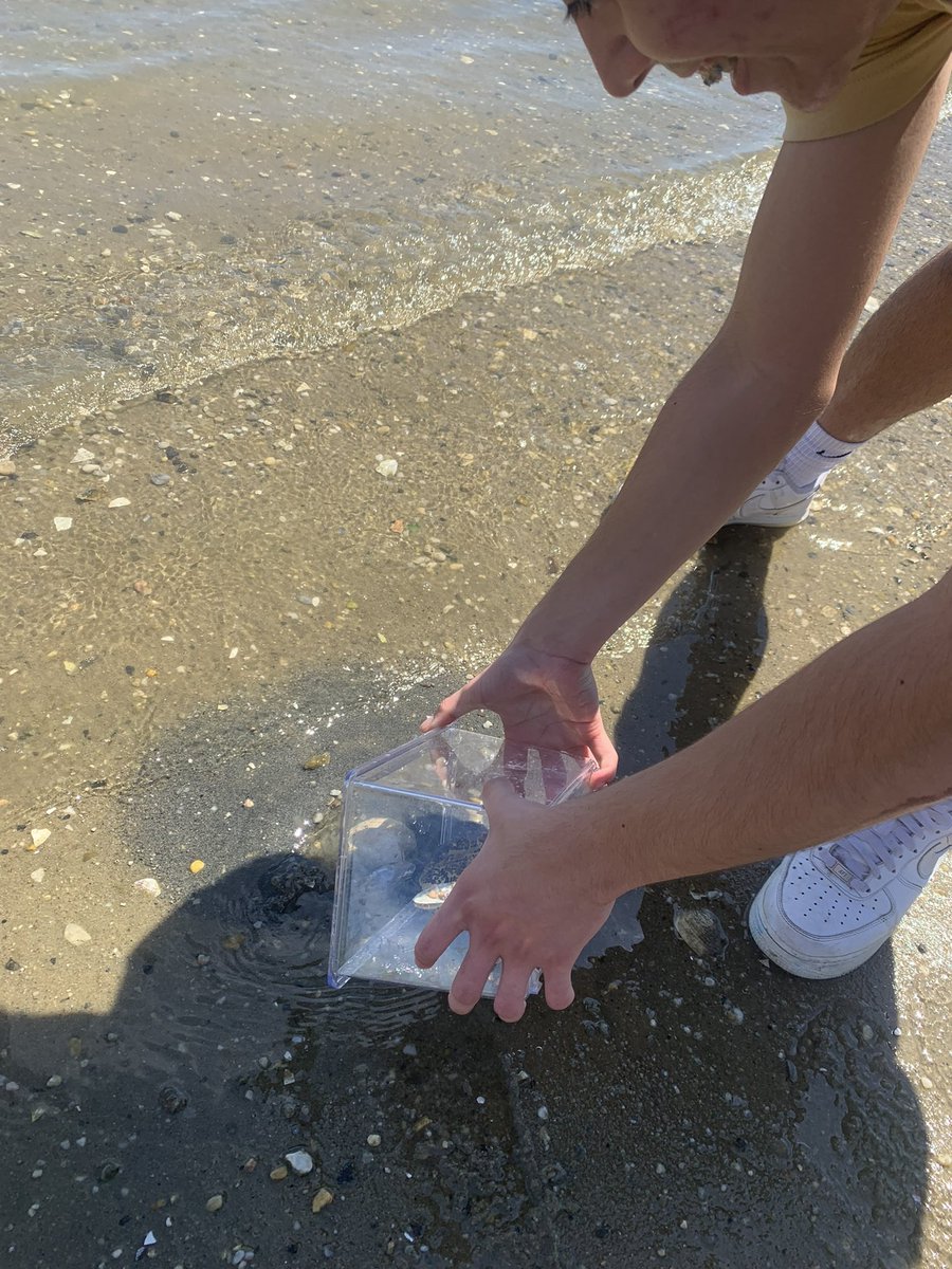 ObenTech's tweet image. A marine biology fish release at the bay with Ms. Sanborn