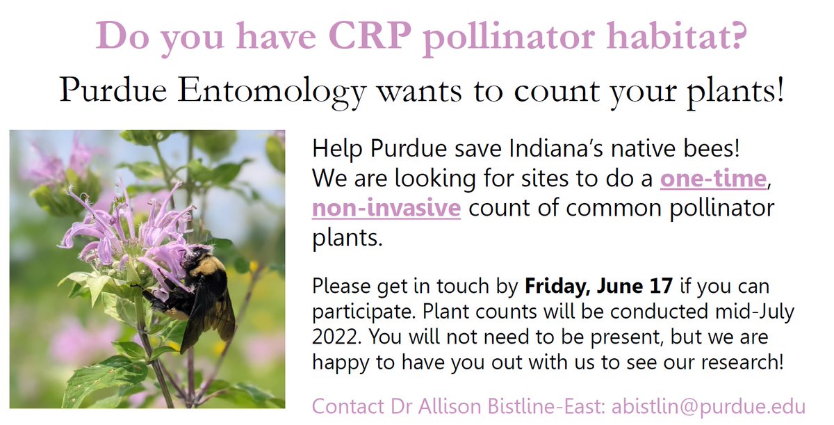 Do you have land enrolled in the #Conservation Reserve Program in #Indiana? Want to help #savethebees? We're looking for habitats to do a one-time #pollinator plant count this summer! Reach out if you can help!
<a href="/Indyecoevo/">Indyecoevo</a> <a href="/USDA_NRCS/">Natural Resources Conservation Service</a> <a href="/PurdueInsects/">Purdue Entomology</a> <a href="/TippecanoeSWCD/">Tippecanoe SWCD</a>
