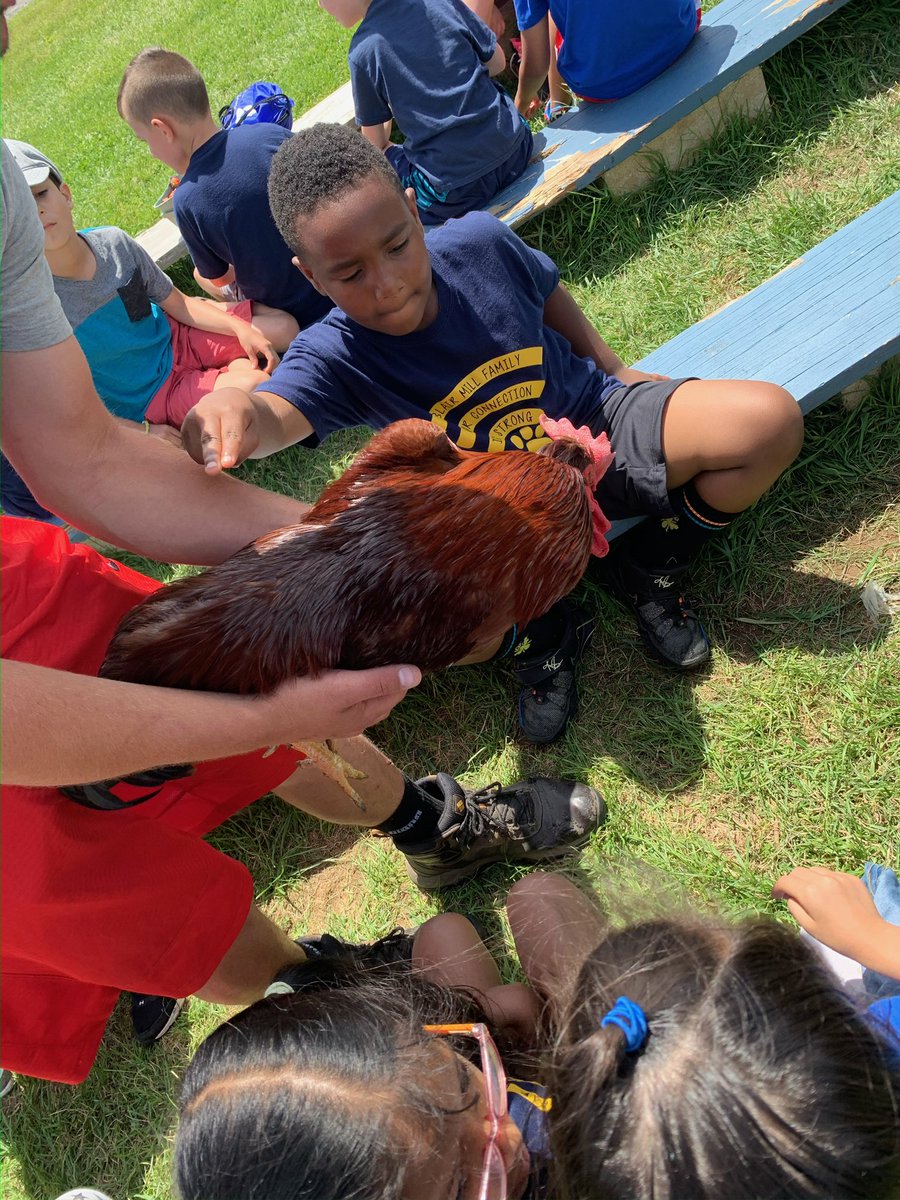 blair_mill's tweet photo. Blair Mill first grade and kindergarten at the farm today! #GotMilk https://t.co/2lhXIrZb0p