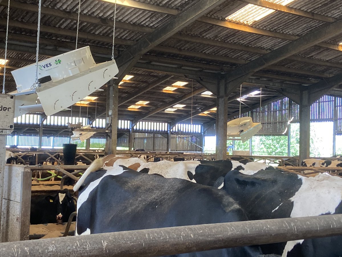 Great to visit @summerfieldholsteins this morning to look at the finished install, these ladies will be feeling the full benefit of Cyclone ecvc fans #effectivecooling #happycows <a href="/katiesummerfie2/">Katie Summerfield🐑</a> <a href="/WynnstayGroup/">Wynnstay Group</a>