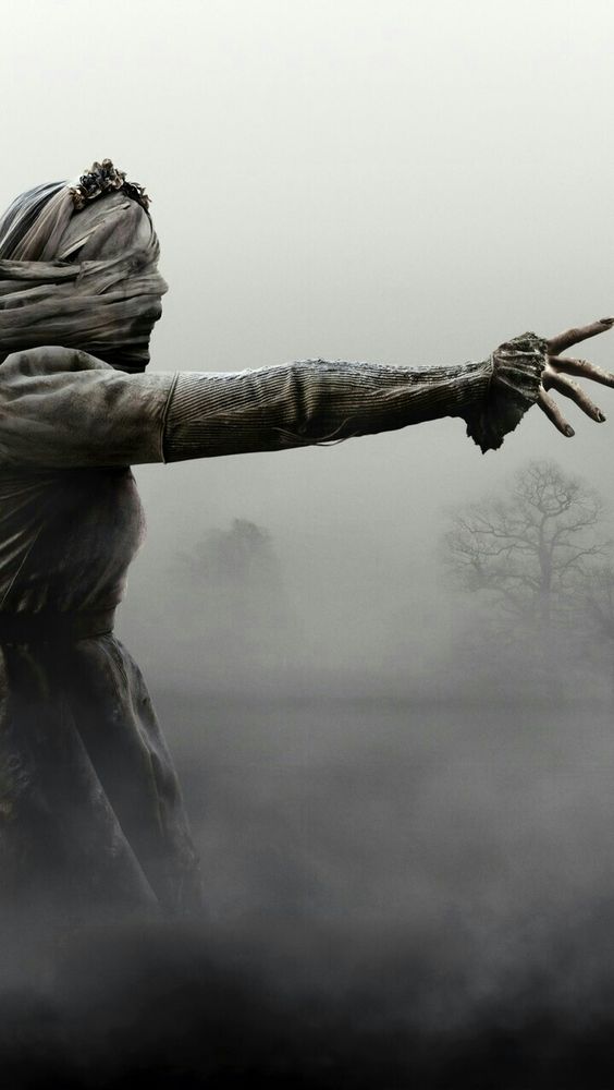 At midnight we hear them, the children’s’ cries. The sound weighs heavy on the hazy fog, but still pierces the silence of the night. Yet nothing can compare to what comes after. The shrieks, the wails, as La Llorona keens her sorrow into the brume 
#vssHauntedHouse
#vssparanormal