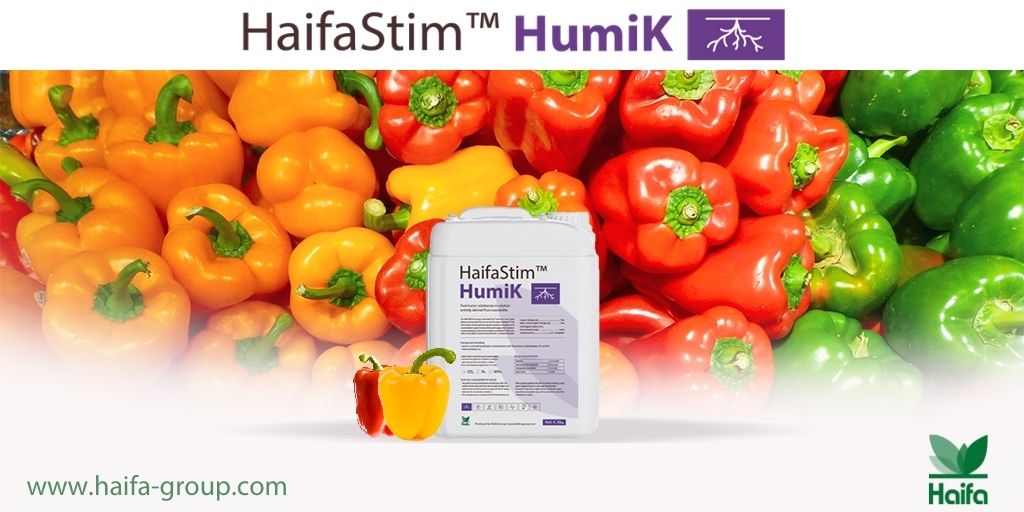 Haifa_SEE's tweet photo. HaifaStim™ HumiK
Improves soil fertility.
#Haifa #HaifaStim #Humik https://t.co/IXTnrYmDPu