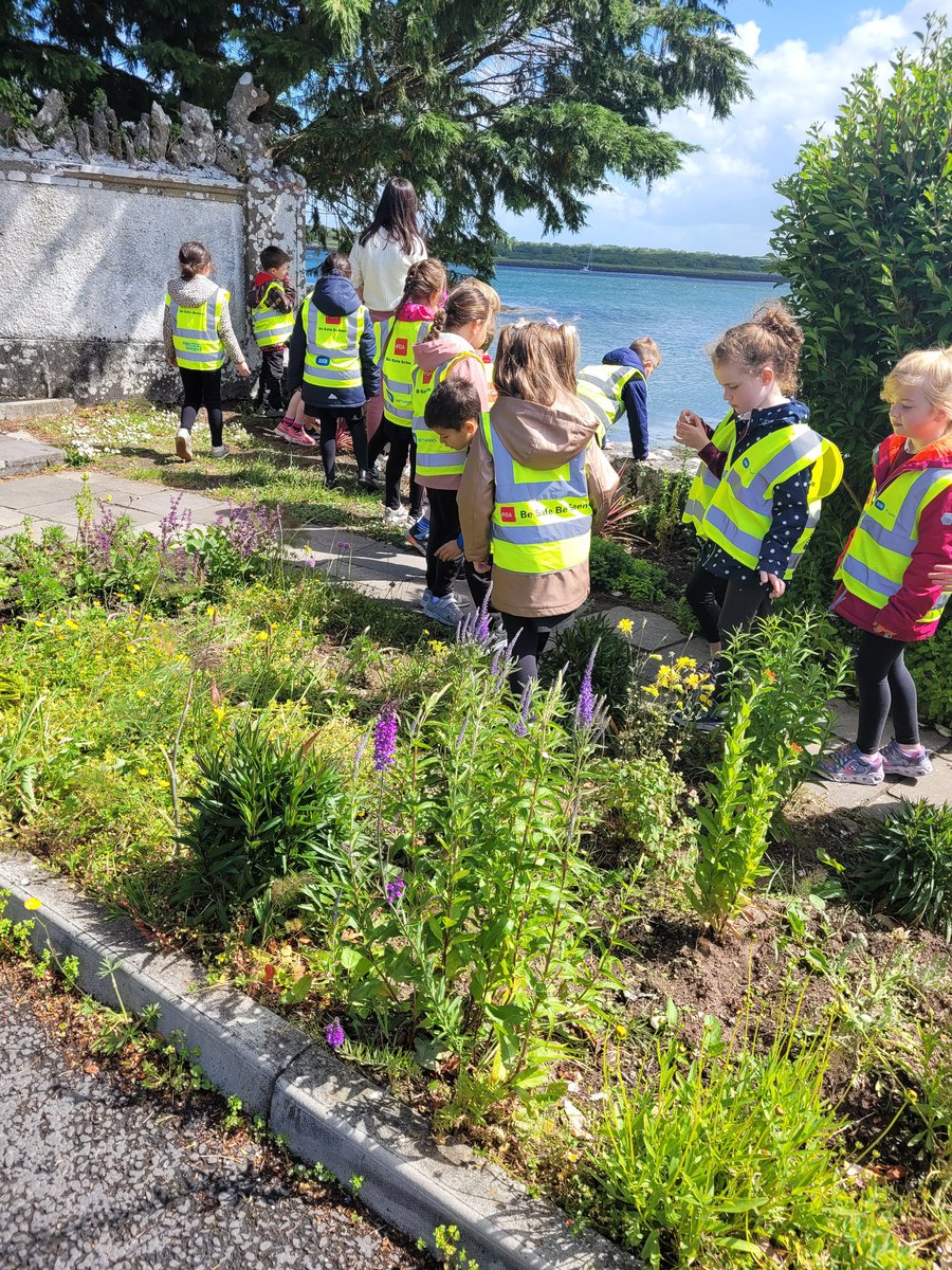 MsJoycesClass's tweet photo. Beautiful day for a walk around the village ☀️⛵️ @kinvarans https://t.co/sgWkUmYrd8